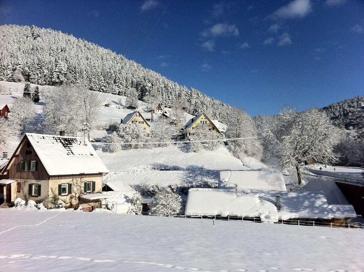 Ferienwohnung-Jungbauernhof Alpirsbach Esterno foto